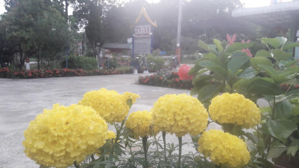 Paramee Inn Pai Exteriör bild